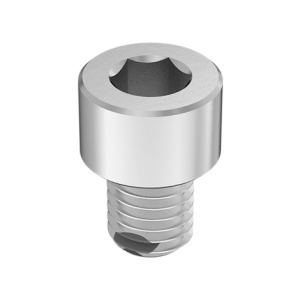 Fluoroelastomer O-Ring A2 Vibration-Resistant Sealing Socket Head Screw, M10 x 1.5 mm Thread size, 12mm Long图3